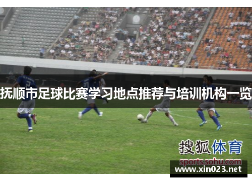 抚顺市足球比赛学习地点推荐与培训机构一览